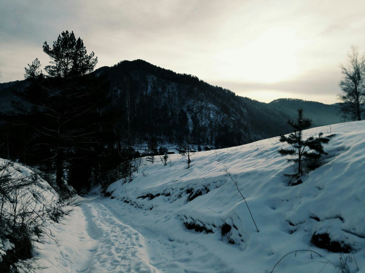 Козья тропа горный Алтай зимой