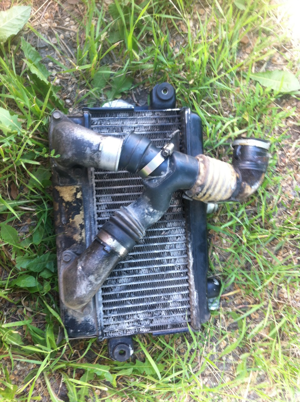 Маслецо в патрубках — похоже это плохо))) — Subaru Forester (SF), 2 л ...