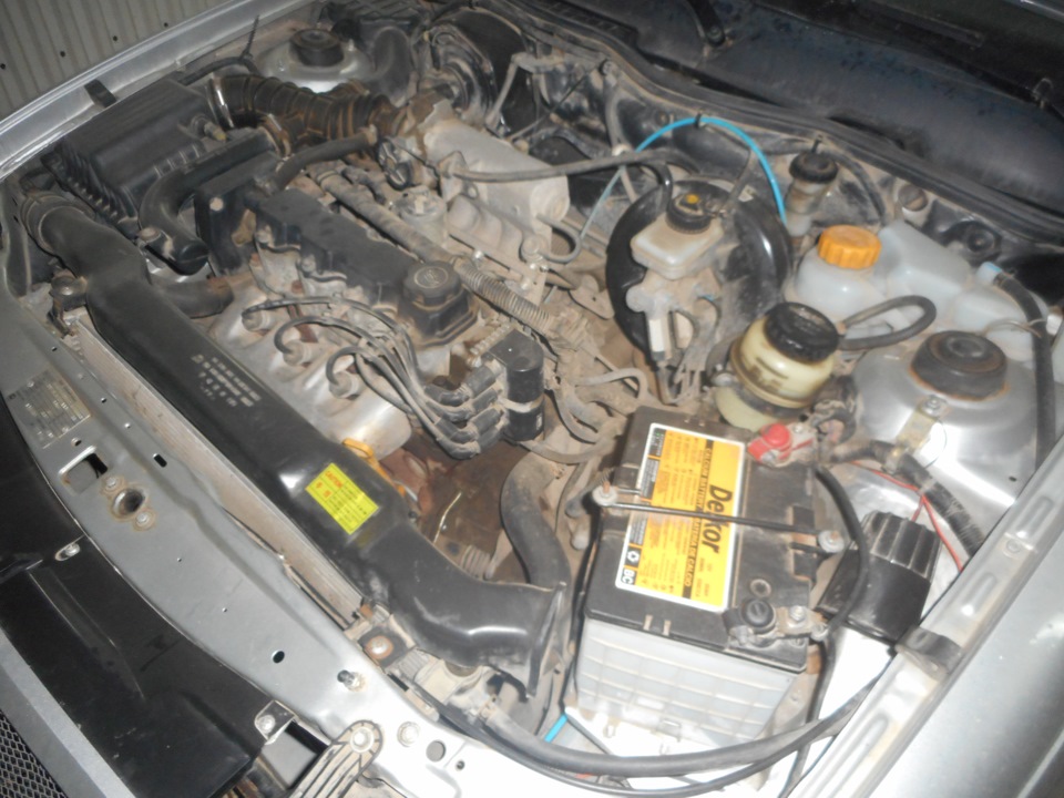мойка двигателя — Daewoo Nexia (N150), 1,5 л, 2010 года | мойка | DRIVE2
