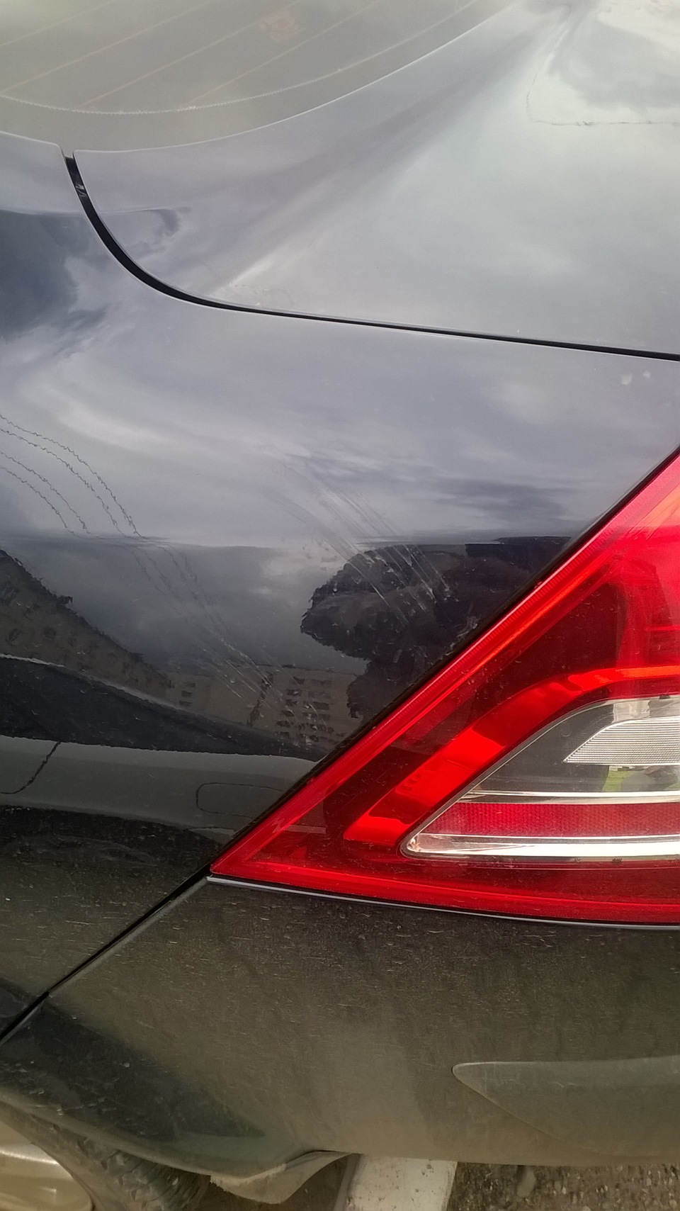 Местные котейки — Renault Megane II, 1,6 л, 2007 года | наблюдение | DRIVE2