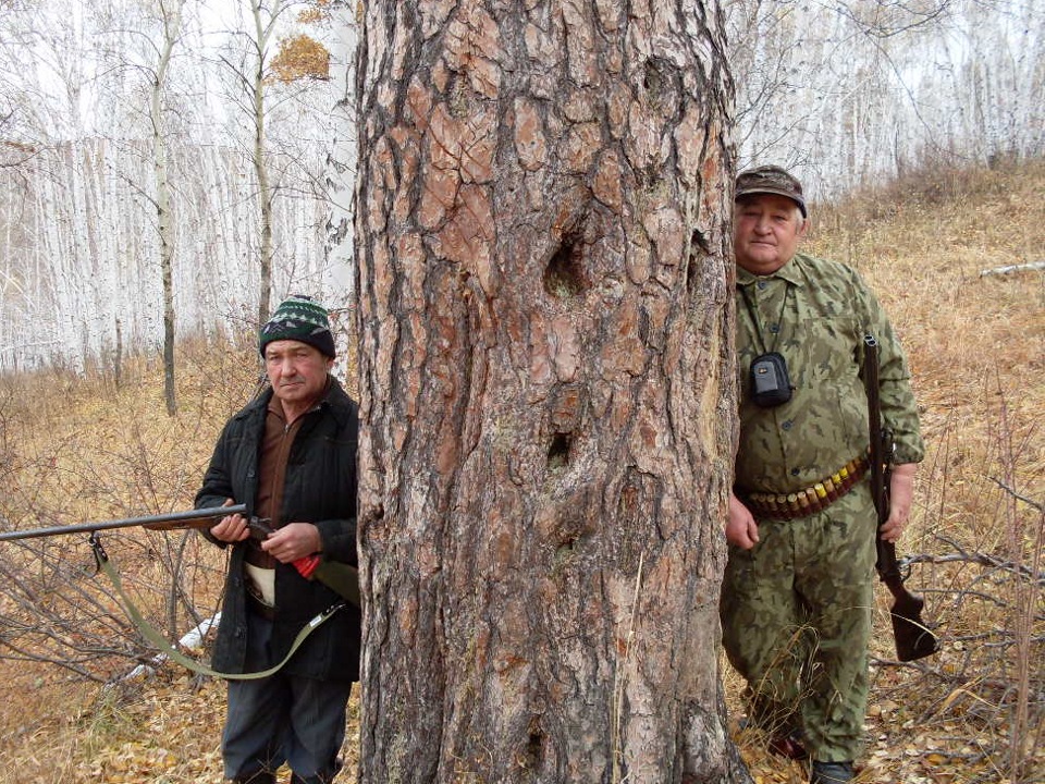 Лабаз на солонце