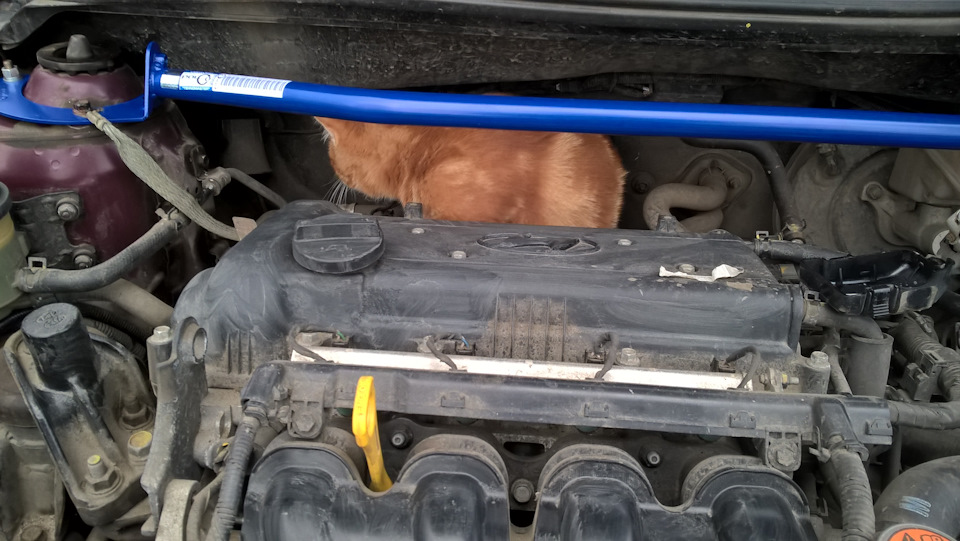 Установка растяжки на стаканы передних стоек — Hyundai Solaris, 1,4 л ...