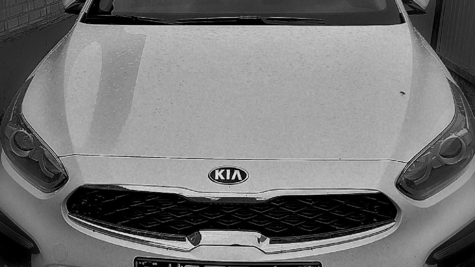 KIA Cerato (4G) 1.6 бензиновый 2020 | Белая Акула на DRIVE2