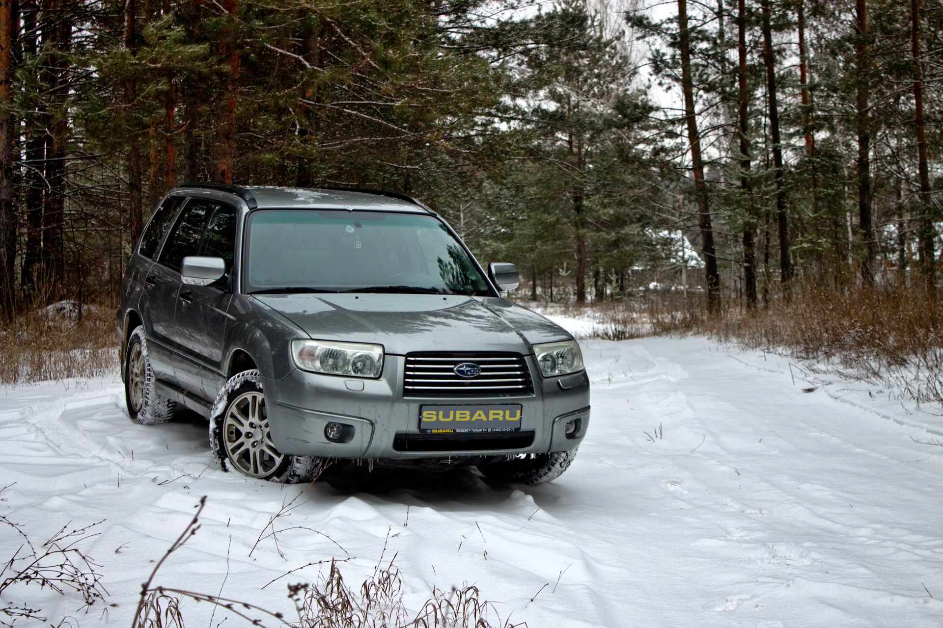 Subaru Forester Snow