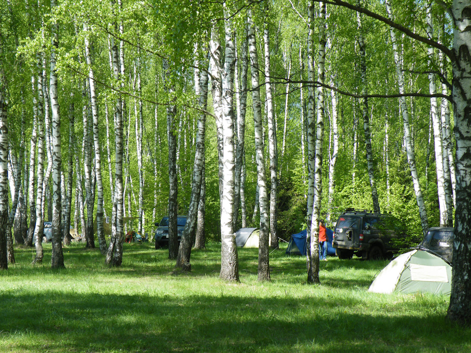 Фото в бортжурнале Nissan Patrol (Y61)