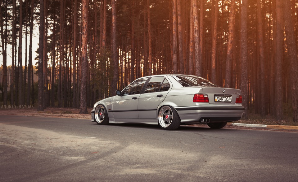 BMW E36 (low & M3) .