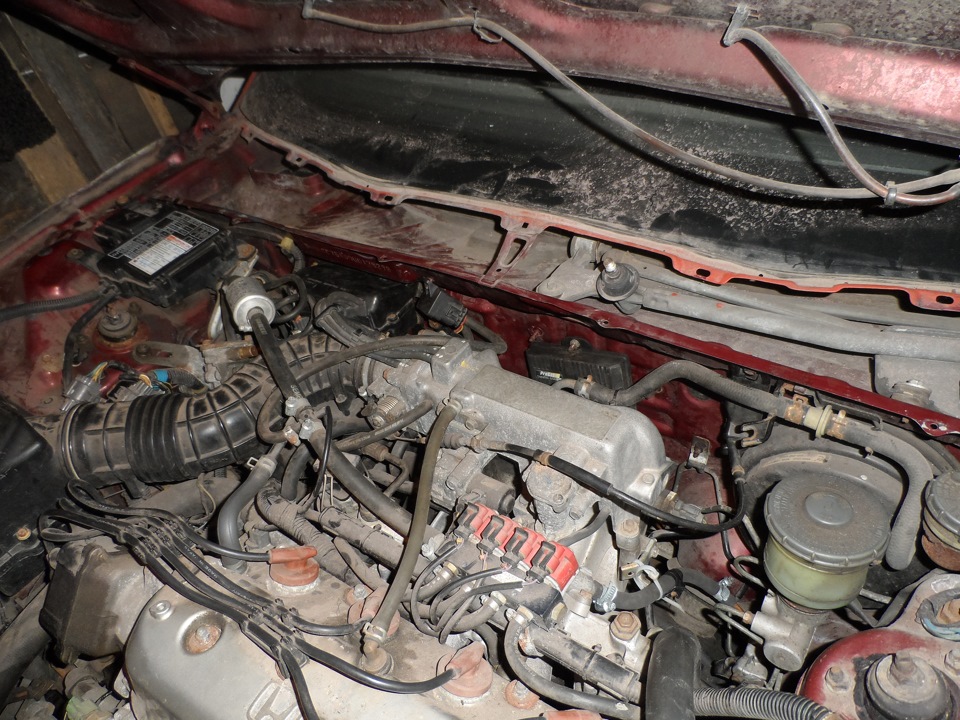 "Потихонечку, помаленечку, по копеечке, по зернышку, по семечку ...