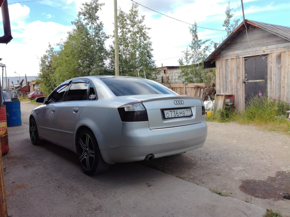 Соты пчёлы — Audi A4 (B6), 2 л, 2001 года | просто так | DRIVE2
