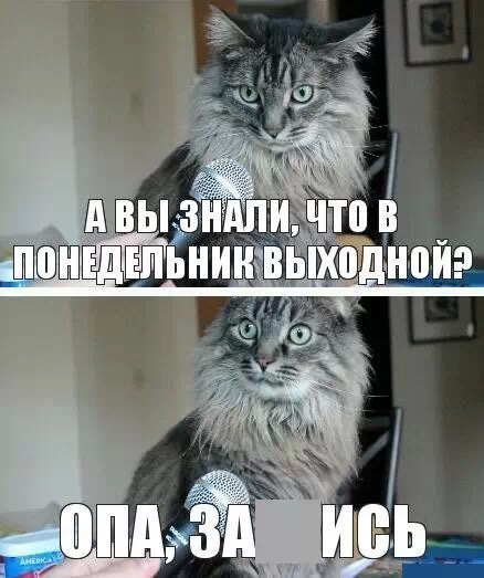 Выходной в понедельник прикольные картинки, картинках