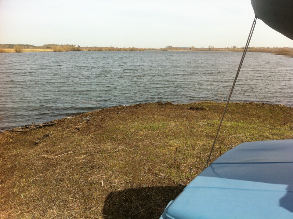 Озеро маян рыбалка. Озеро Курья Новосибирск. Озеро Токмышова Курья. Озеро Майское Светлогорск рыбалка. Озеро токмышово Курья Новосибирская область.