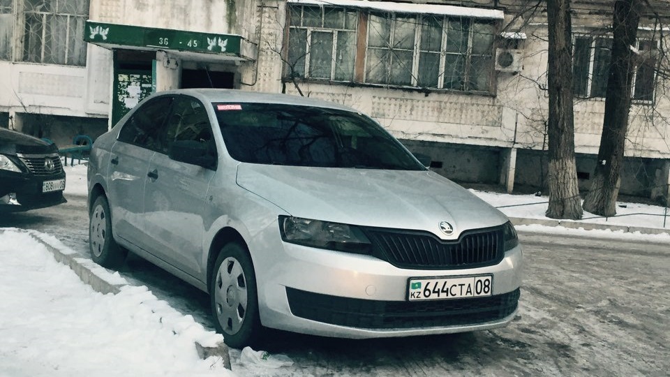 отличная метисочка