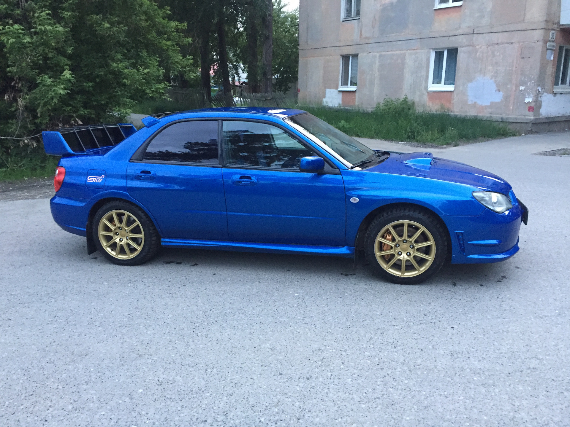 impreza лиса