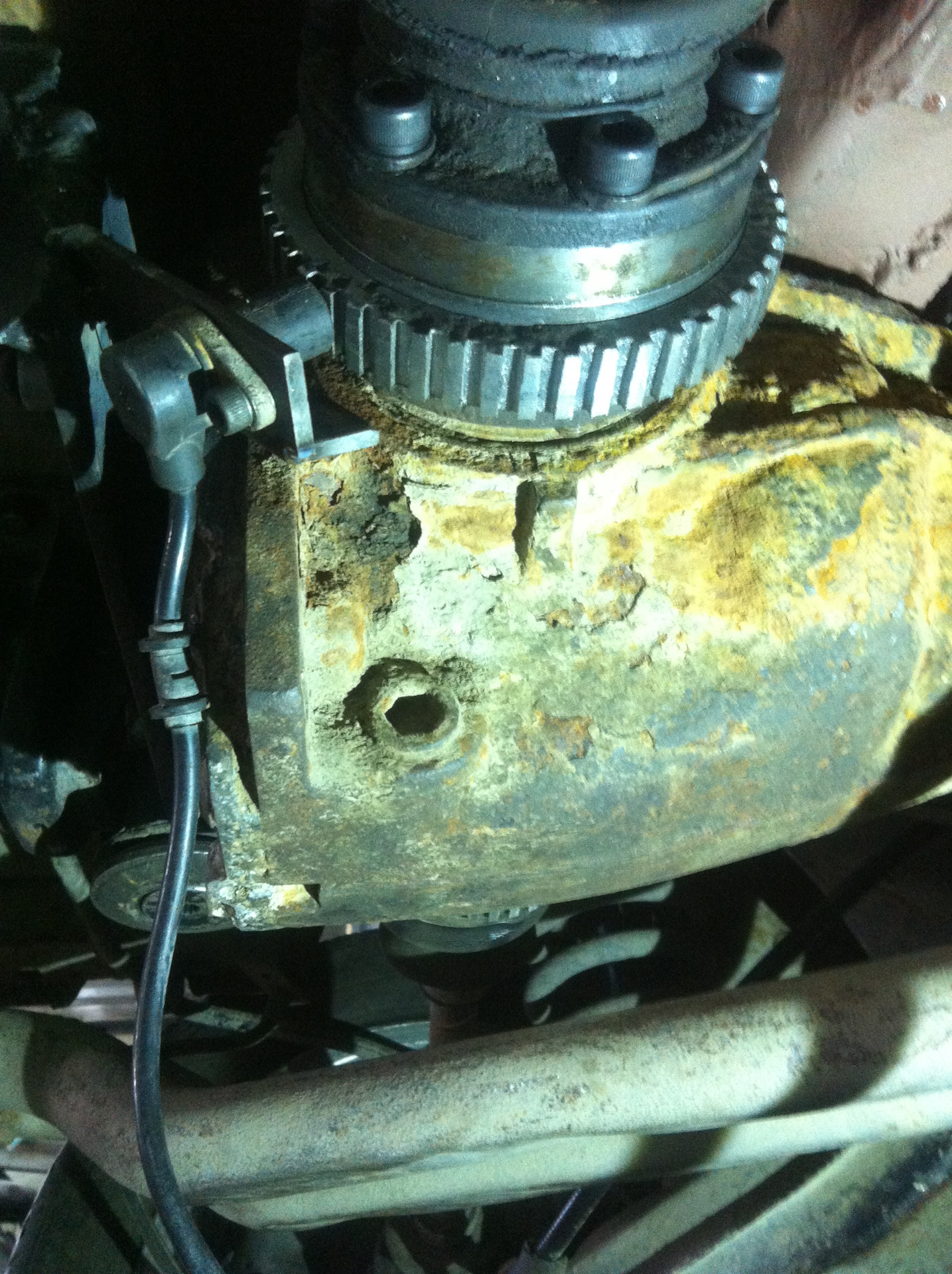 e5669f9s-1920.jpg
