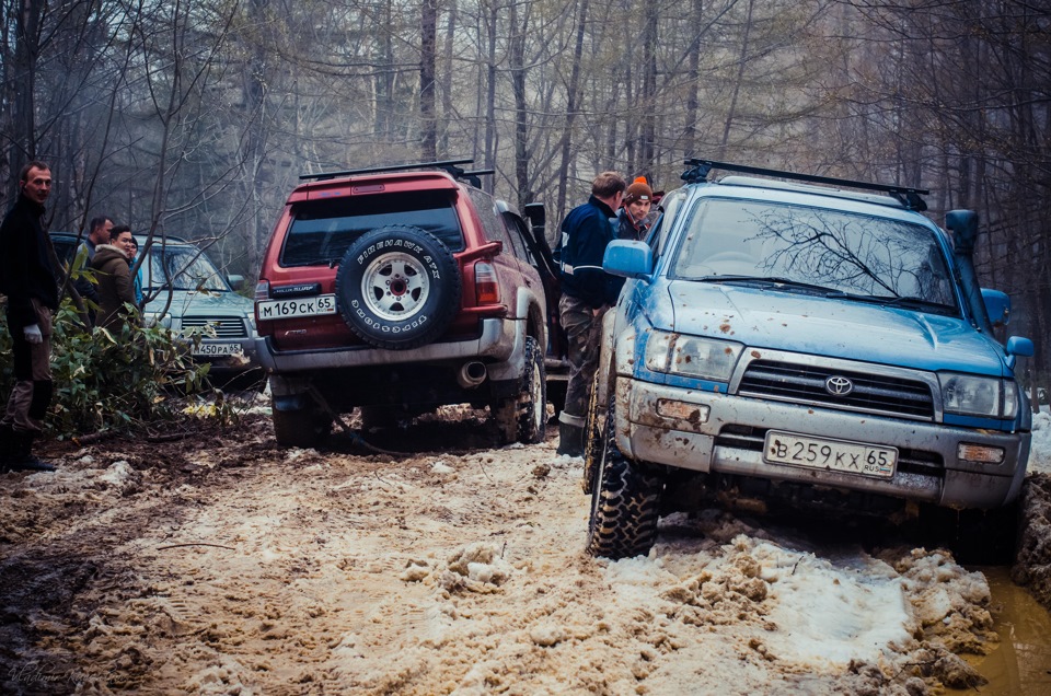 сел — Subaru Forester (SG)