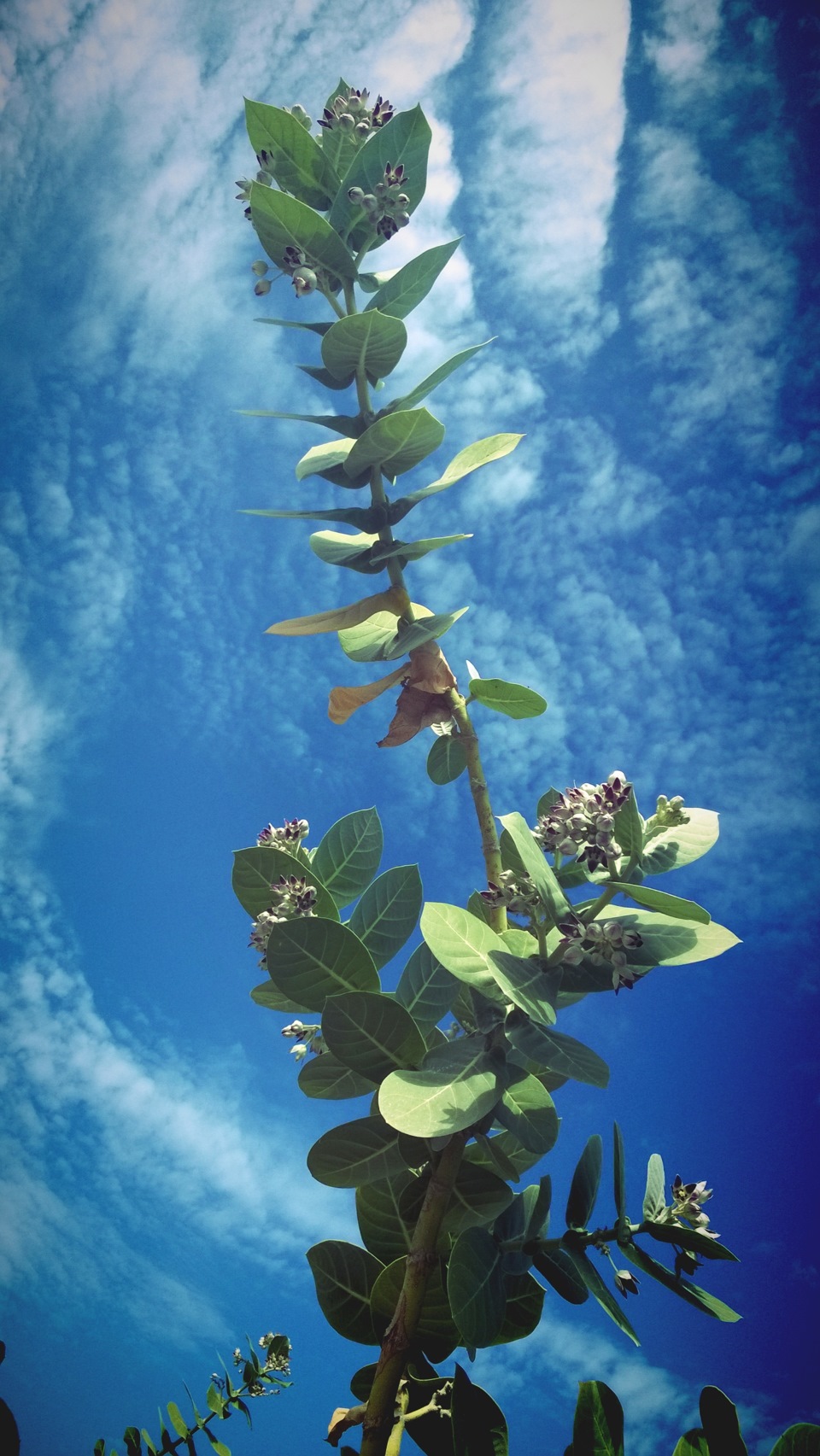 А здесь не так уж и плохо как мне казалось до прибытия! ;) — DRIVE2