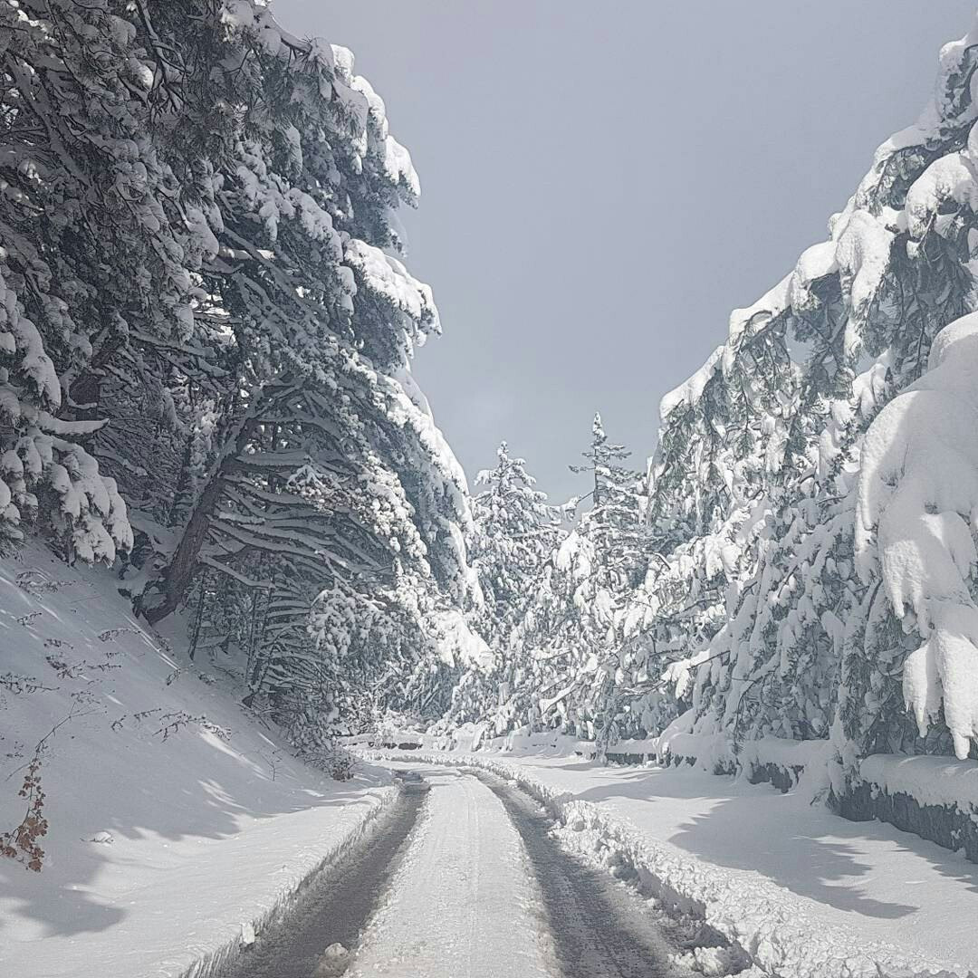 Крым зимой дорога