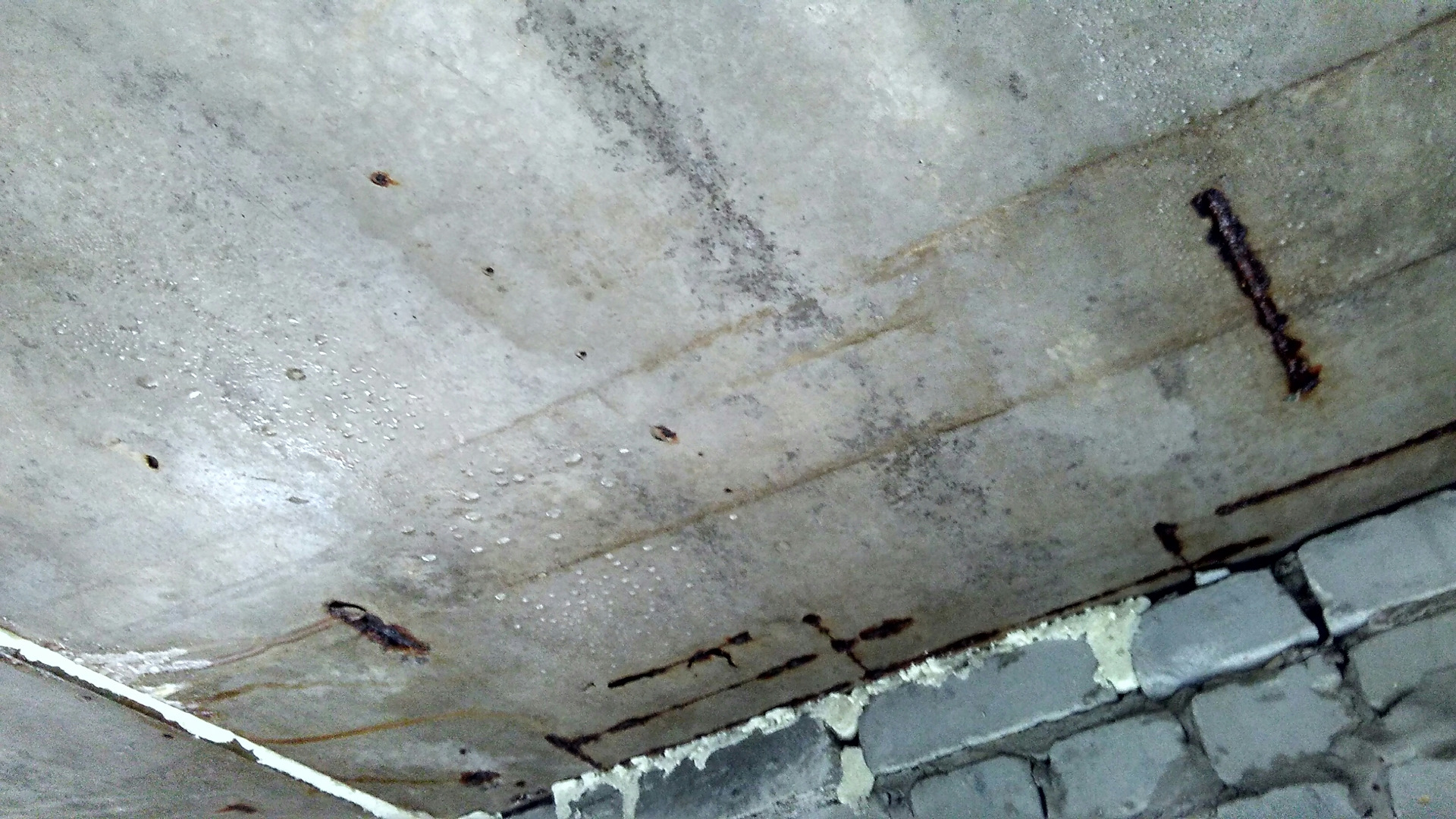 конденсат на потолке в гараже что делать