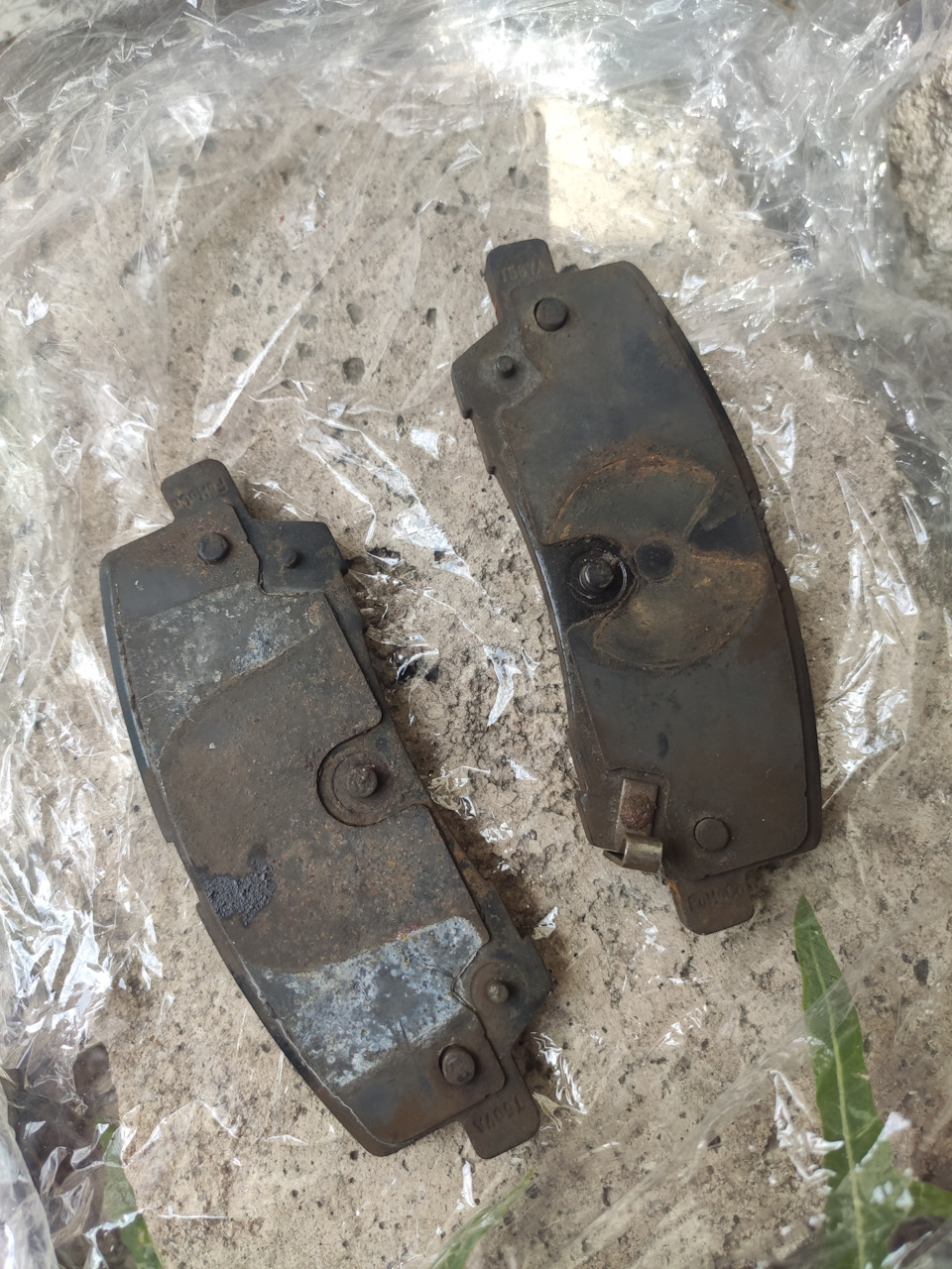 Фото в бортжурнале Ford Mustang (6G)