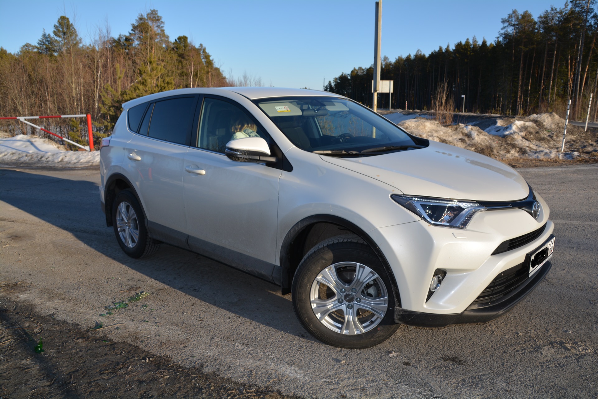 Toyota rav4 белый 2015