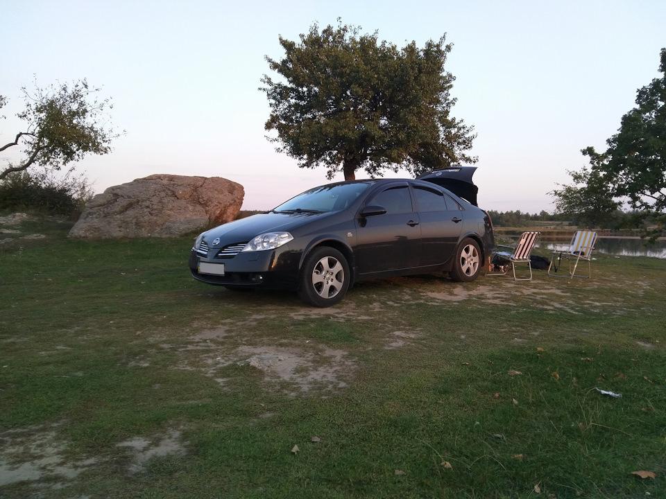 Фото в бортжурнале Nissan Primera (P12)