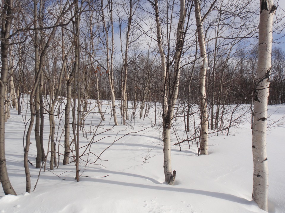 Природное явление в жуковском. Запрет на выход на лёд кинешма 18. Радуга в кирове. Апрель 87. Радуга в твери 2022 года осенью.
