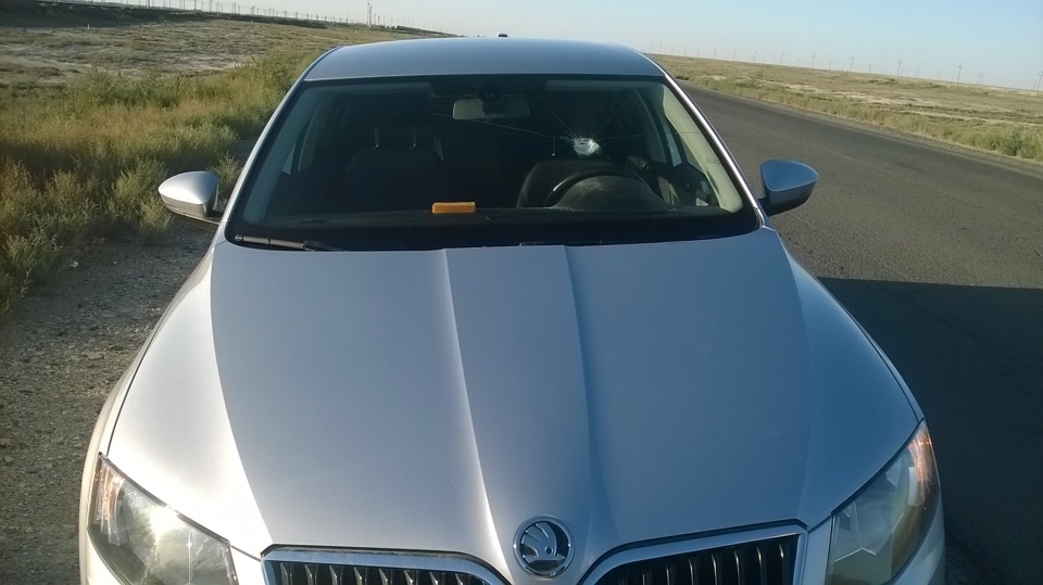 Представляю куда попала бы щебень, если насквозь прошла бы — Skoda Octavia A7 Mk3