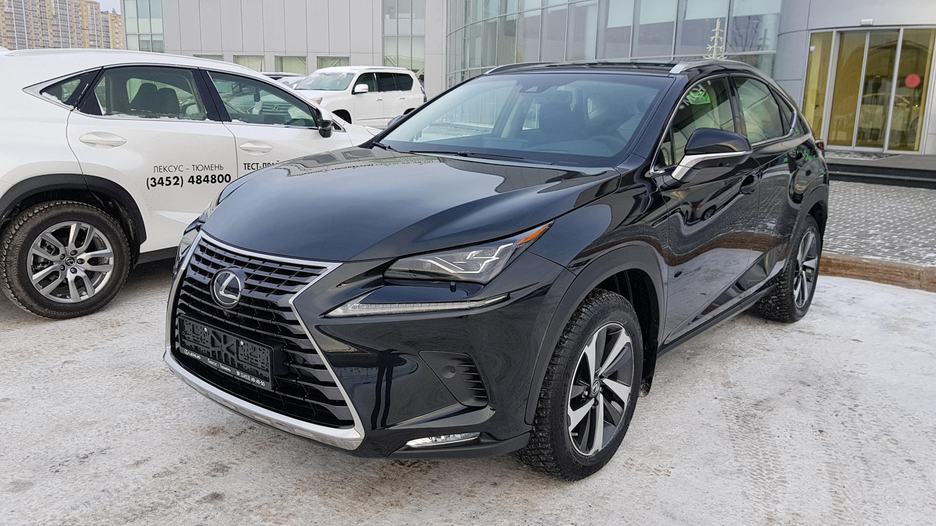 Lexus NX (1G) 2.0 бензиновый 2017 | на DRIVE2