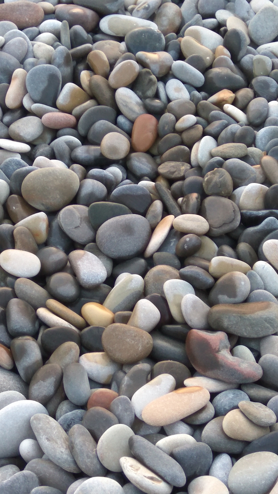 Фото в бортжурнале KIA Sorento (2G)