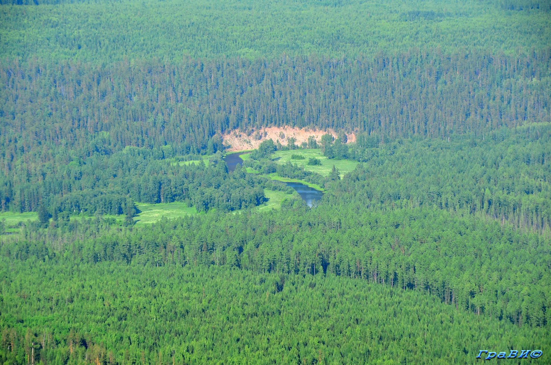 Тайга лес Усть-Илимск
