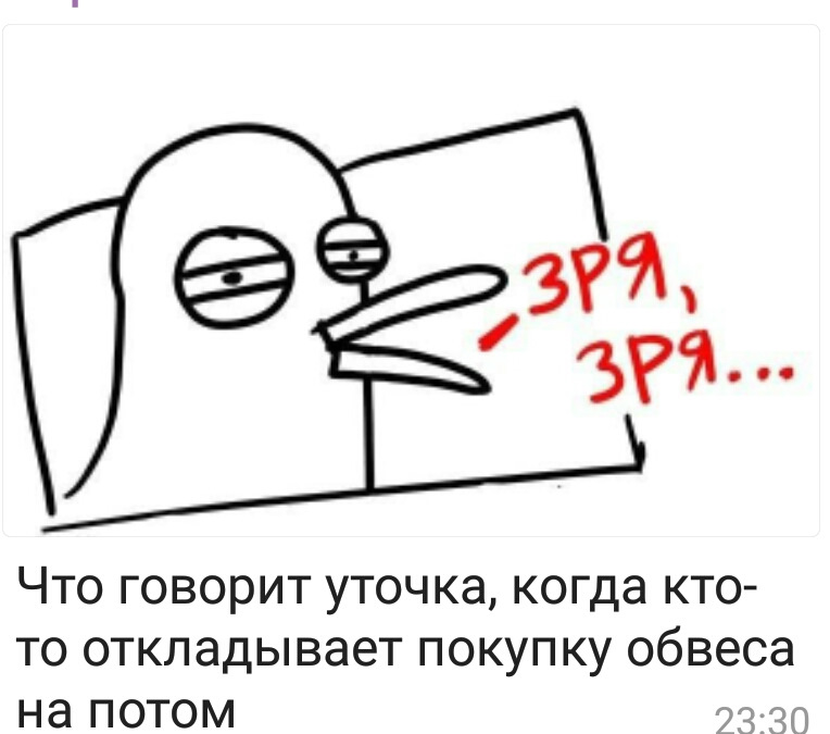 Уточка зря зря. Уточка говорит зря зря. Скажите это было зря. Скажите это было зря. Уточка говорит зря зря.