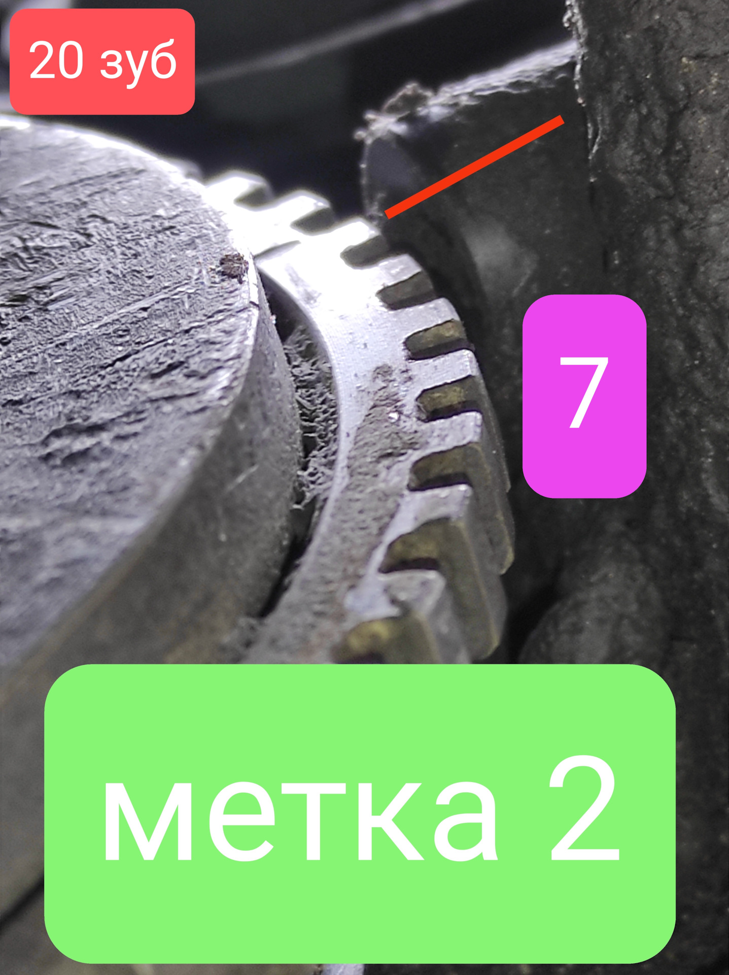 Метком зубья