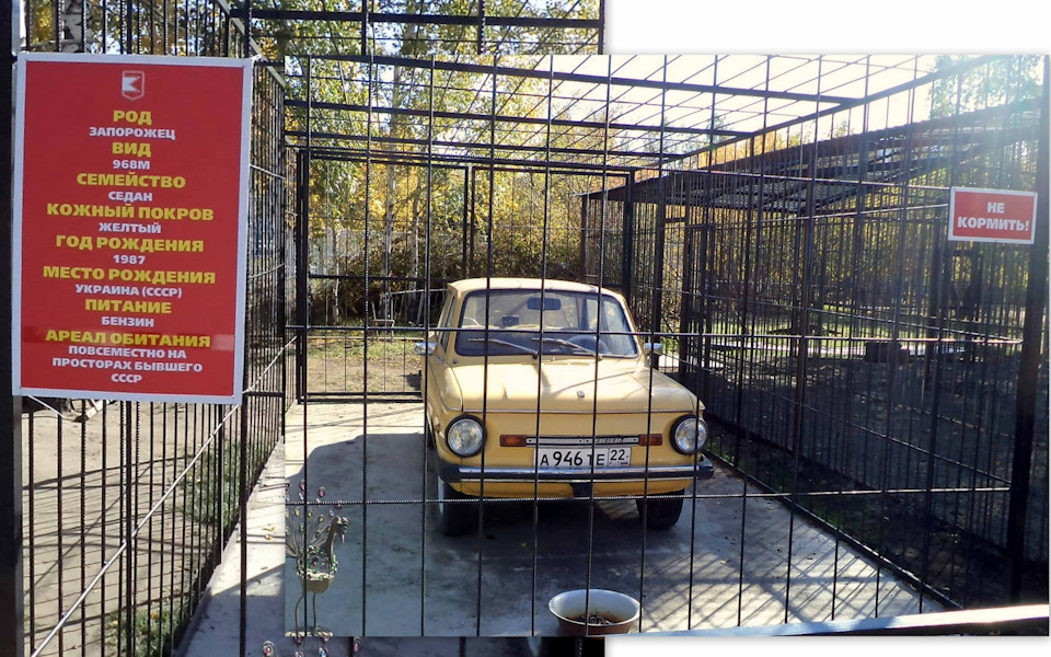 Фото в бортжурнале ЗАЗ 968