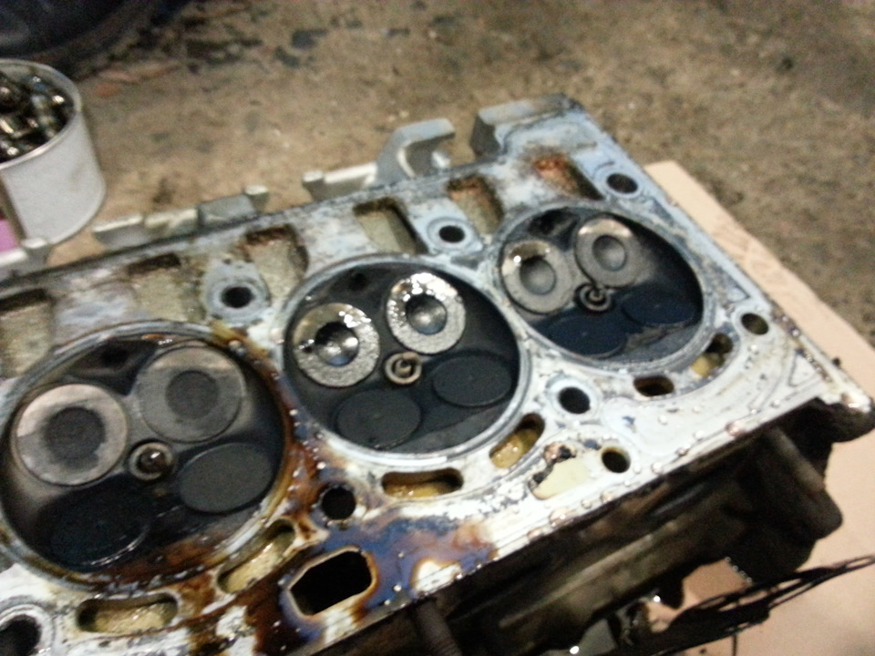 Фото в бортжурнале Volkswagen Tiguan (1G)