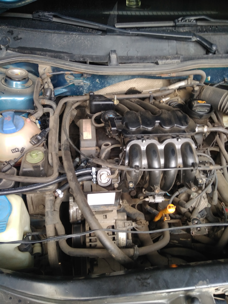 Фото в бортжурнале Skoda Octavia A4 Mk1