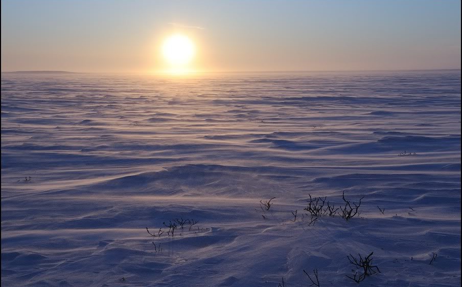 Белые ночи в тундре