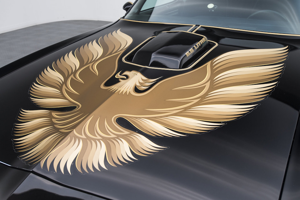 Машины похожие на pontiac firebird. Смотреть фото Машины похожие на pontiac firebird. Смотреть картинку Машины похожие на pontiac firebird. Картинка про Машины похожие на pontiac firebird. Фото Машины похожие на pontiac firebird