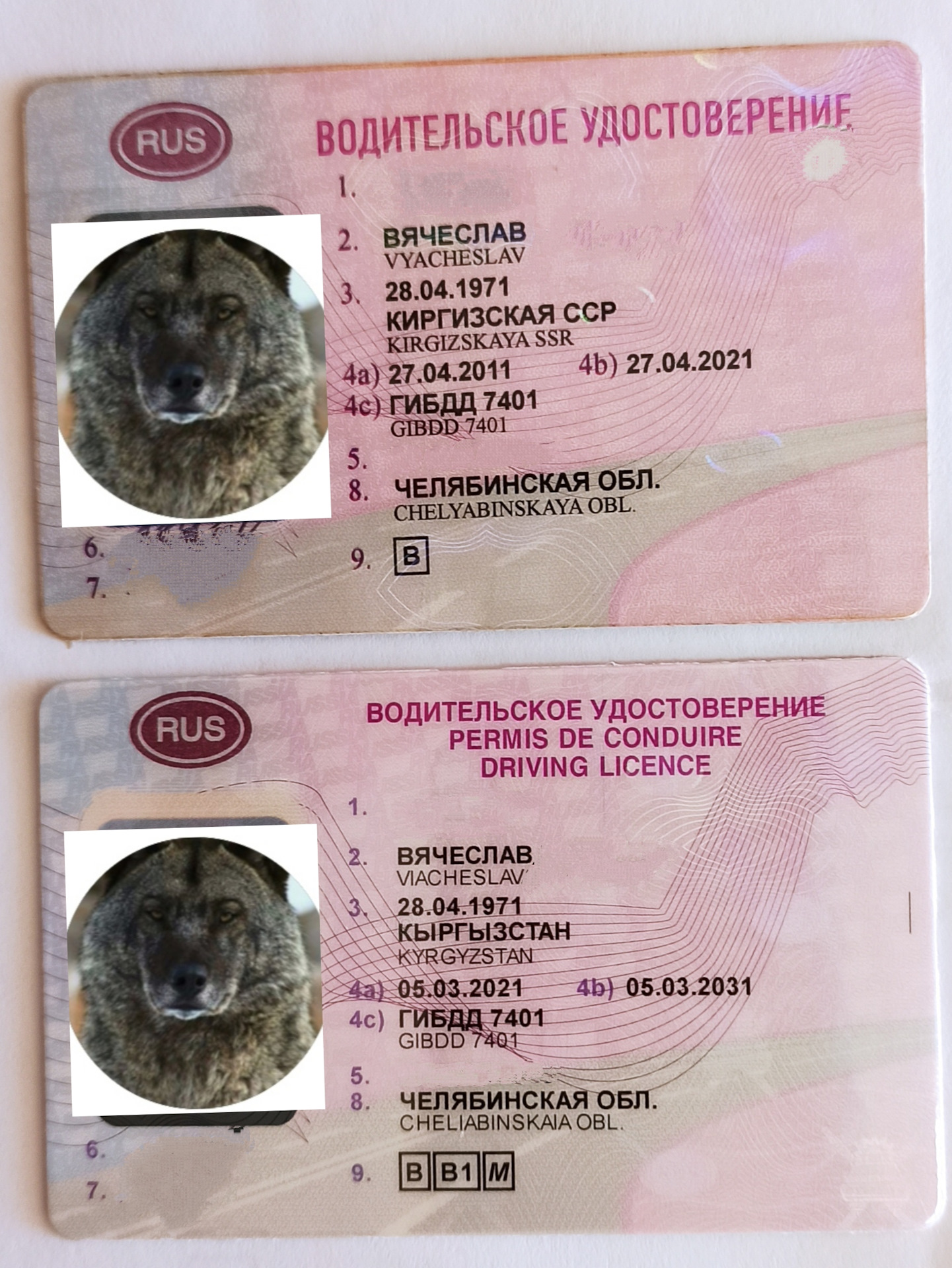 Нужна ли замена водительского удостоверения в 2024. Замена водительского удостоверения. Замена водительского 2021. Замена водительского удостоверения для Луганской области-.