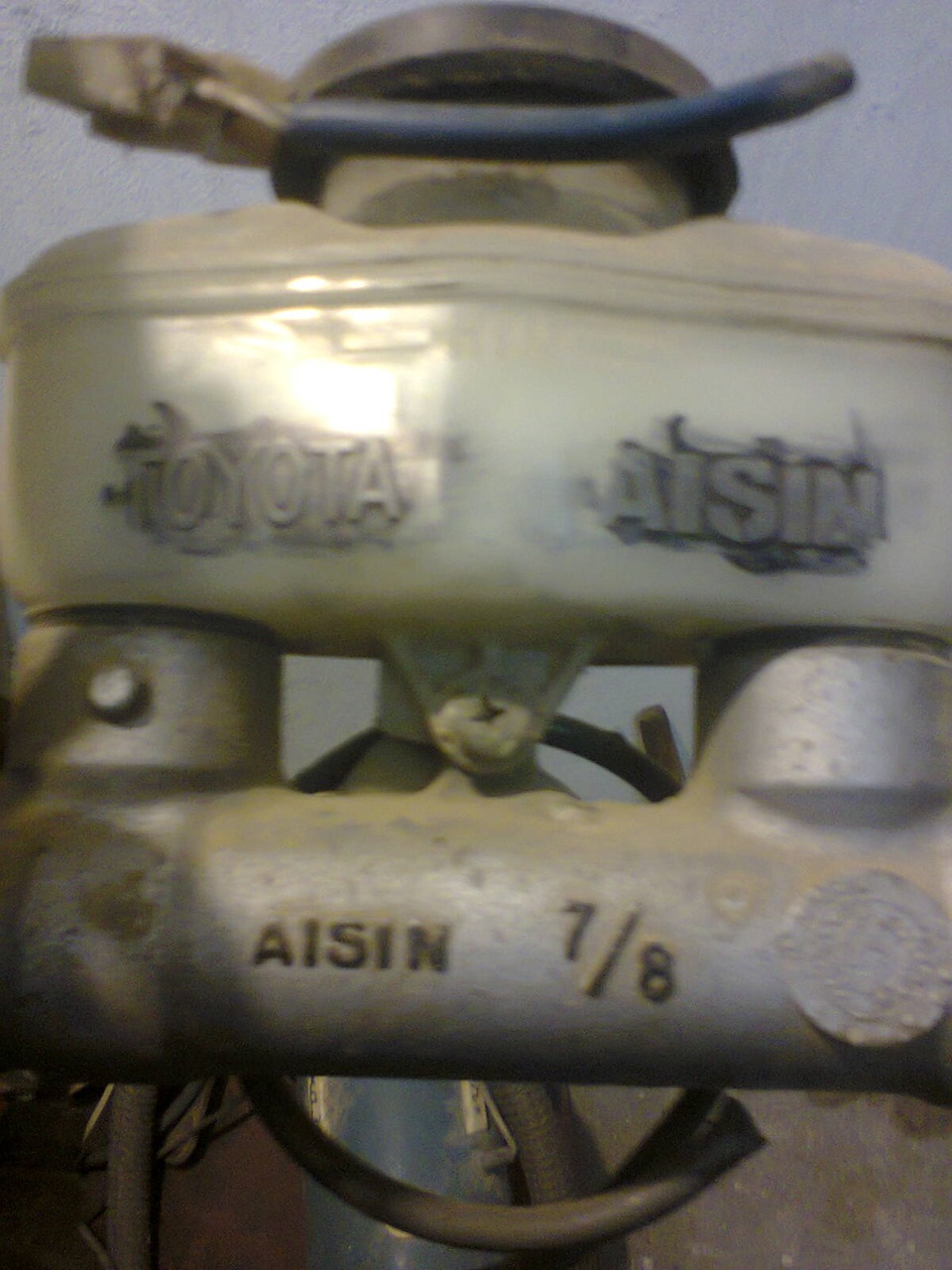 ЧТО ЭТО ТАКОЕ . И СЧЕМ ЕГО ЕДЯТ . НУ ИЛИ КАК ЕГО ЗОВУТ . БУДЕТ ЛИ ОН ...