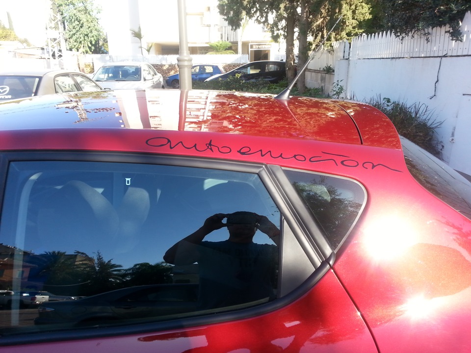 Татушки на ибицу — SEAT Ibiza (6J), 1,2 л, 2014 года | стайлинг | DRIVE2