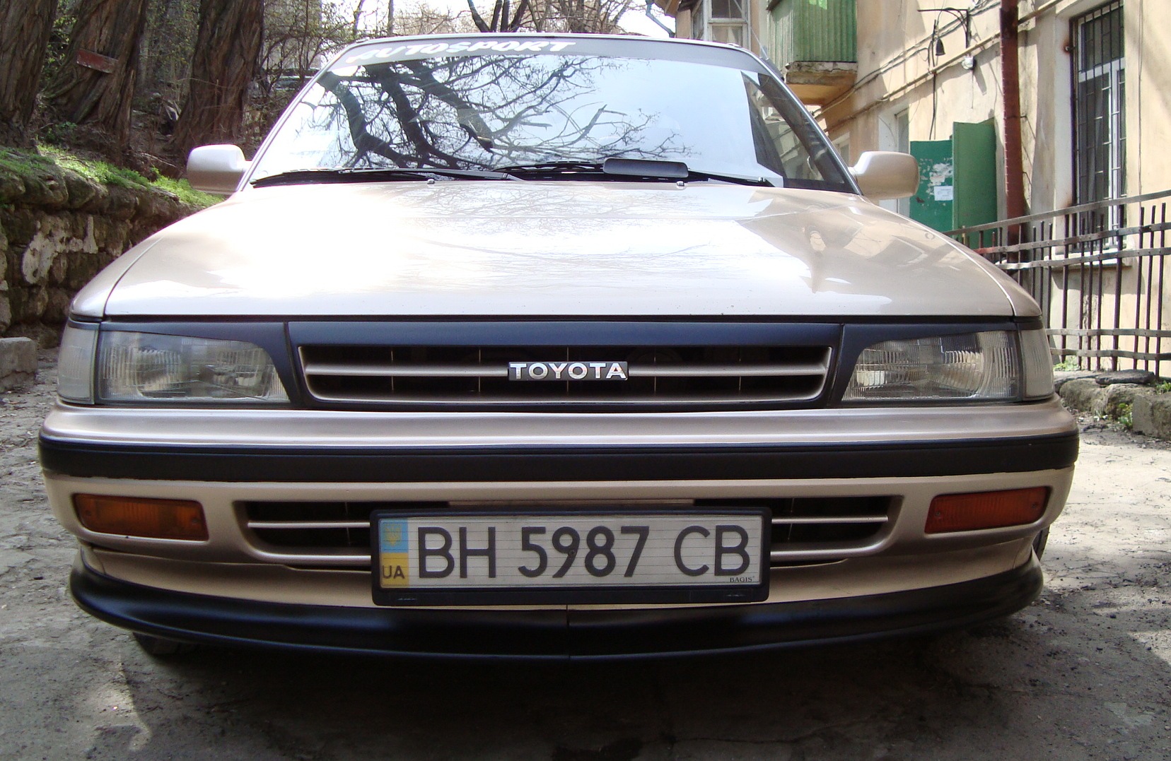 we are like that after winter - Toyota Carina II 20 l 1991