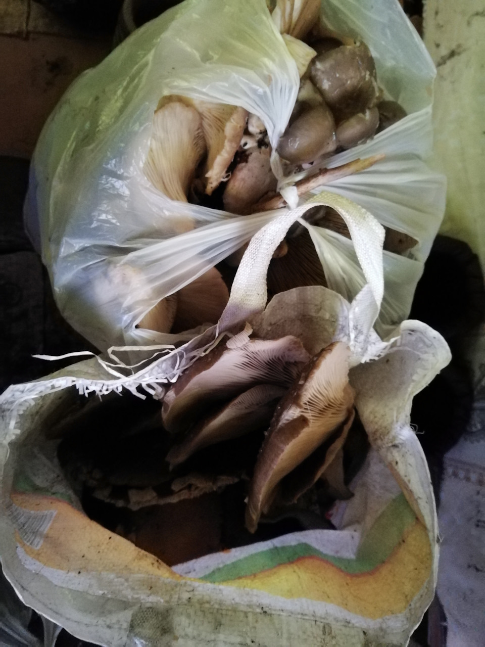 Чуток набрали)))) — Lada 4x4 3D