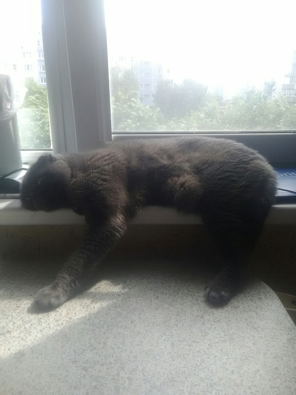 Фото в бортжурнале Haval H6 (1G)