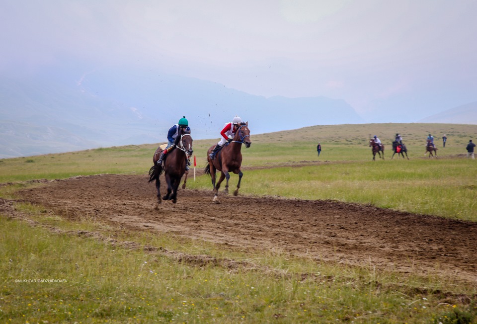 гонох хунзахский. гамзатов тимур гамзатович русгидро. приора хунзах. сивух хунзахский район. метеонова в хунзахе.