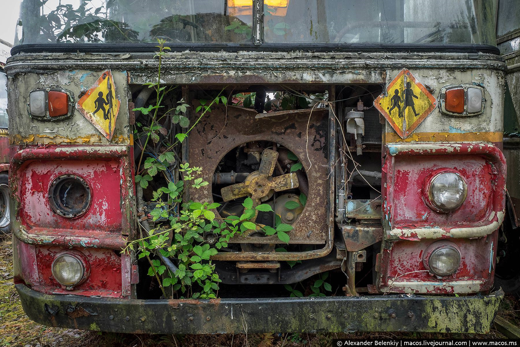 Фото заброшенных автобусов