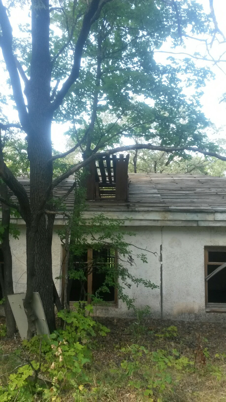 Купить Дом В Лесной Республике Саратов