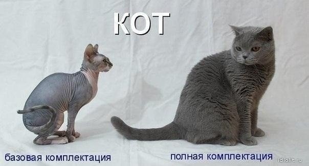 waermekomfort что это bmw. Смотреть фото waermekomfort что это bmw. Смотреть картинку waermekomfort что это bmw. Картинка про waermekomfort что это bmw. Фото waermekomfort что это bmw