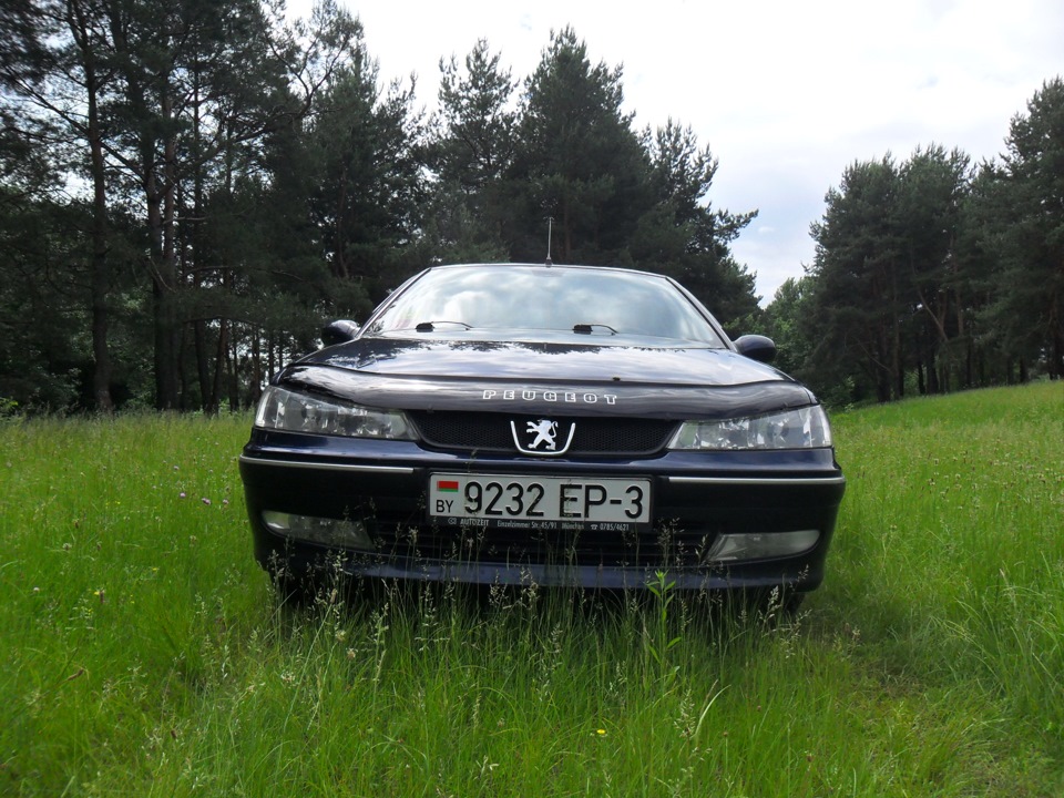 Немного фото… — Peugeot 406, 1,8 л, 2000 года | фотография | DRIVE2