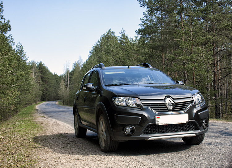 Дорожный фотосет. Борисов — Лепель — Renault Sandero Stepway (2G), 1,6 ...