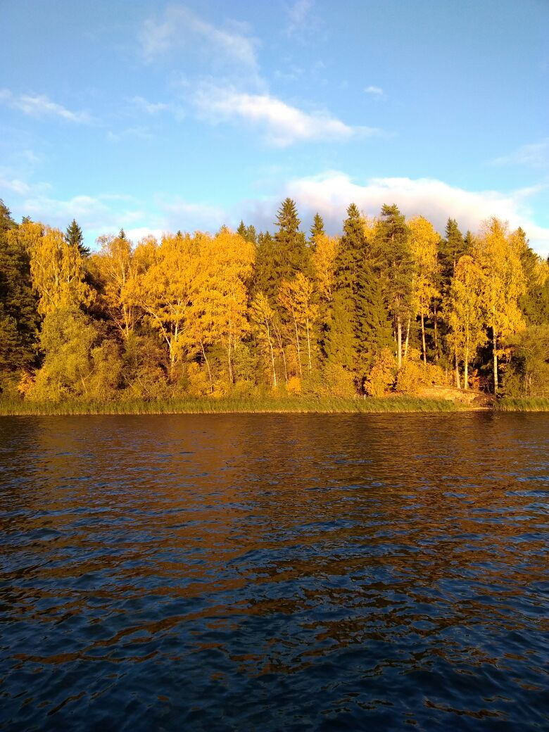 Рузское водохранилище. Руза водохранилище. Озеро Рузское водохранилище. Куповский остров Рузское водохранилище.