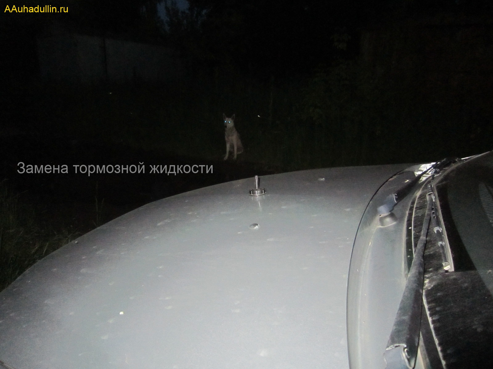 Как заменить тормозную жидкость своими руками — Renault Logan (1G), 1,6 ...